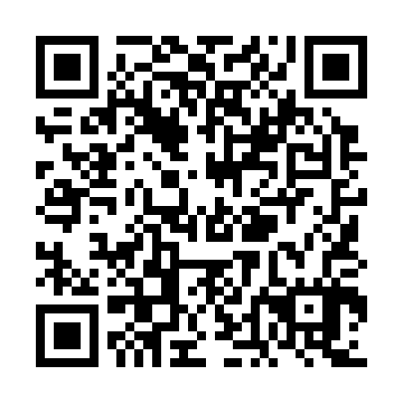 QR code for VDL307