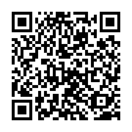 QR code for VDN729