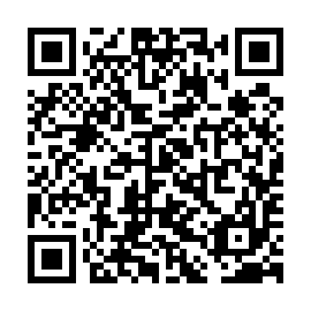 QR code for VDS 597