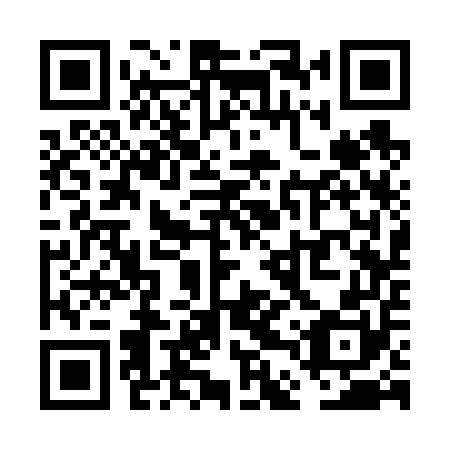 QR code for plate VDS 650