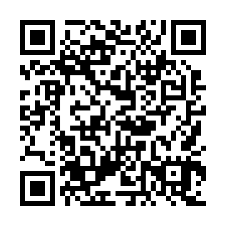 QR code for plate VDX 245