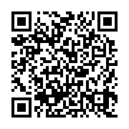 QR code for VDZ 339