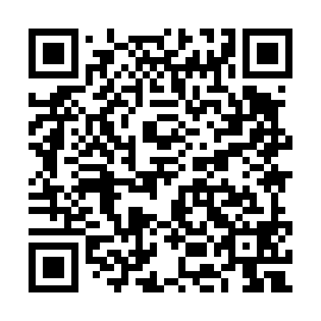 QR code for VEI 498