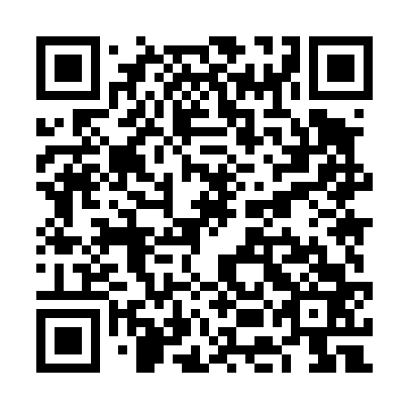 QR code for VEM 463
