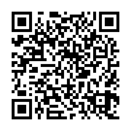 QR code for VEN 969