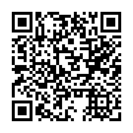 QR code for VES 379