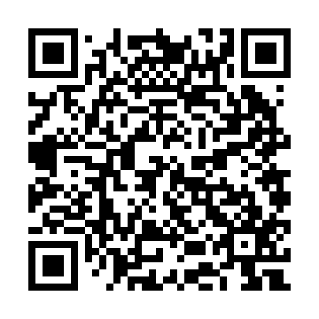 QR code for VEV 217