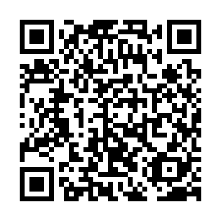 QR code for plate VEY 328