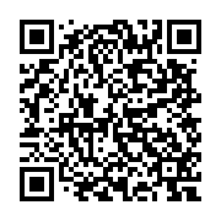 QR code for VFG 513