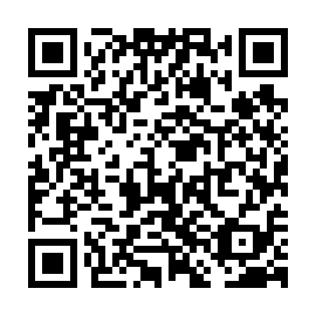 QR code for plate VFM 619