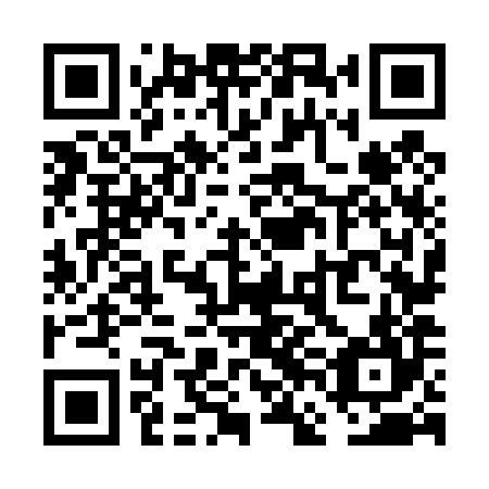 QR code for plate VFN 484