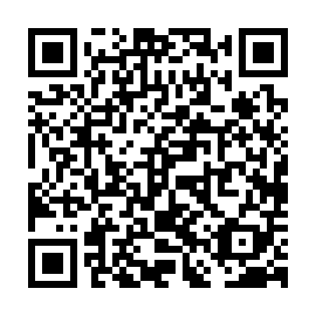 QR code for VFP 309
