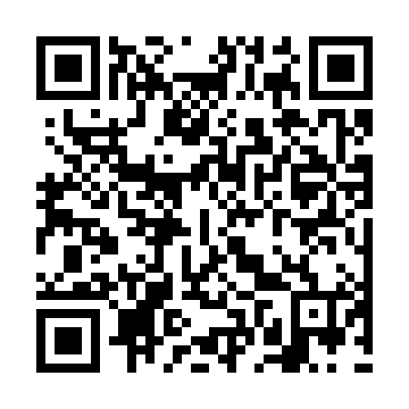 QR code for VFS 384
