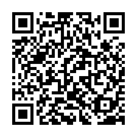 QR code for plate VFS 919
