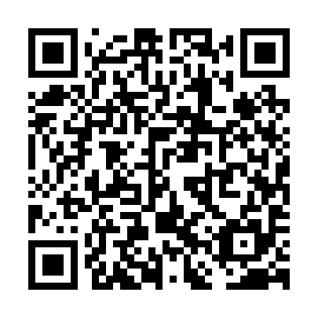 QR code for VFU 295