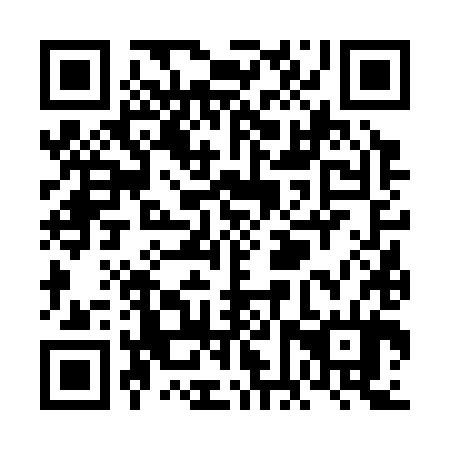 QR code for VFV 384