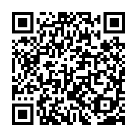 QR code for VFZ 299