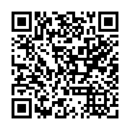 QR code for VGA339
