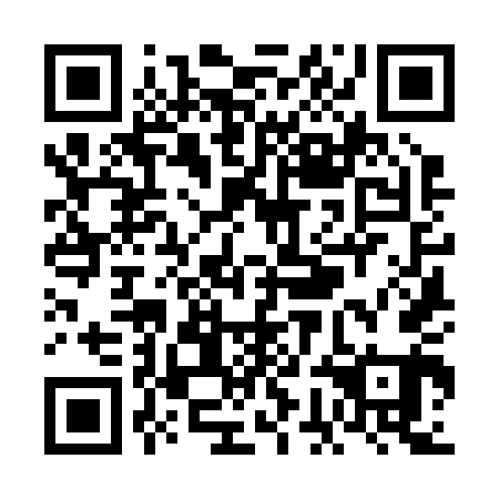 QR code for VGK 241
