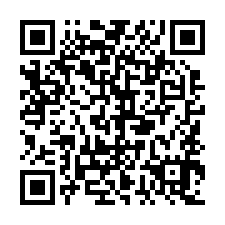 QR code for VGL 295
