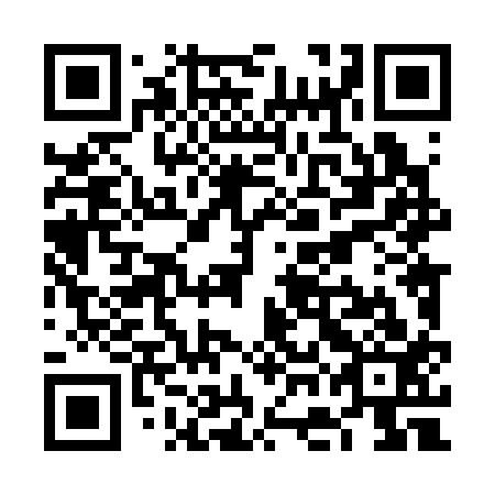 QR code for VGL 313