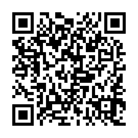 QR code for VGL 955