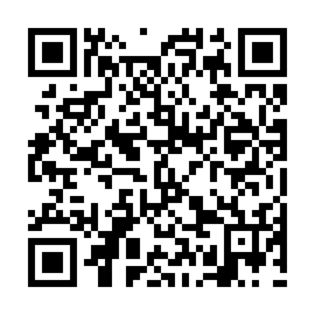 QR code for VGN 236