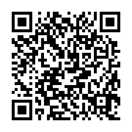 QR code for VGS 386