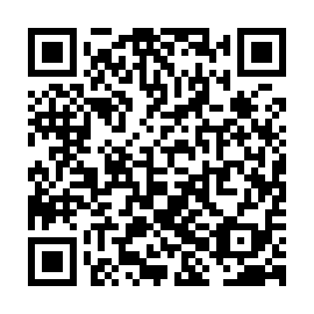 QR code for VHA 919