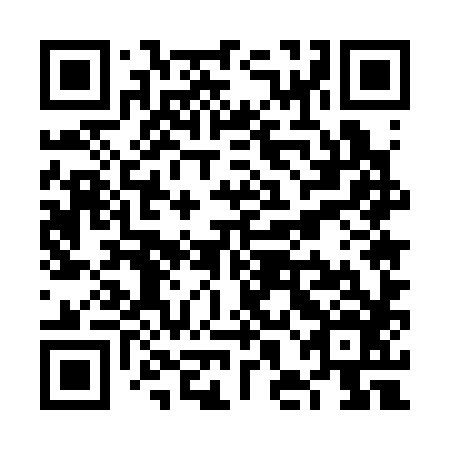 QR code for VHE 386