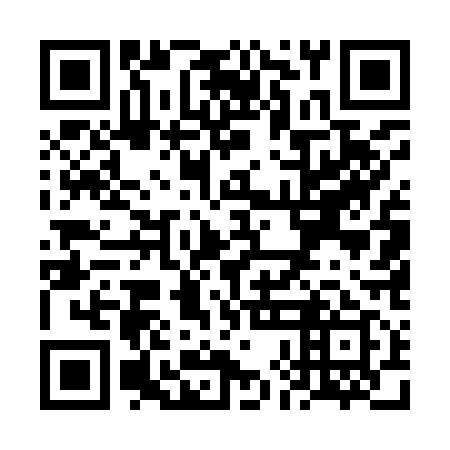 QR code for VHE 919