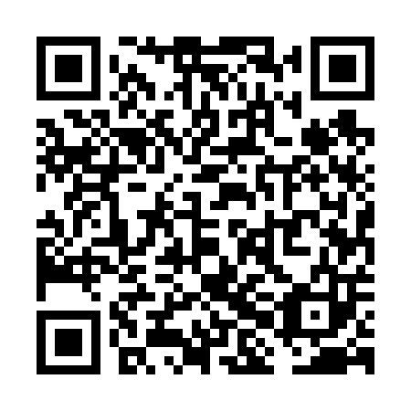 QR code for plate VHE 603