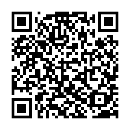 QR code for plate VHN 289