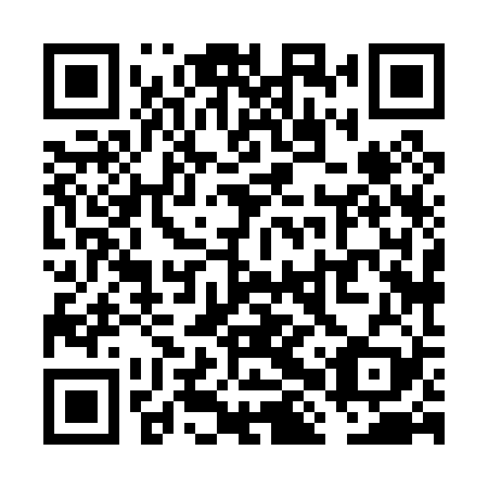 QR code for VHX 029