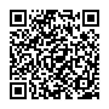 QR code for plate VIB 113