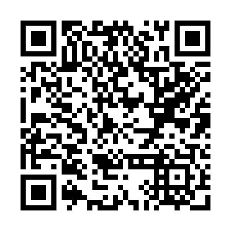 QR code for plate VIB 303