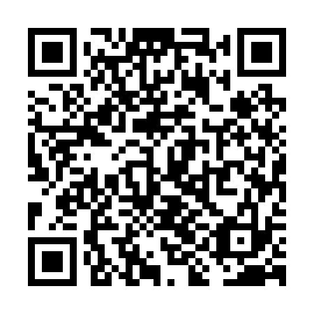 QR code for VIE233