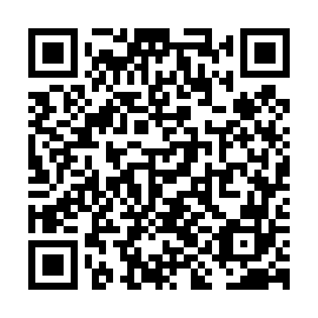 QR code for plate VIG 462