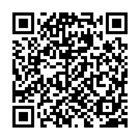 QR code for VIJ 310