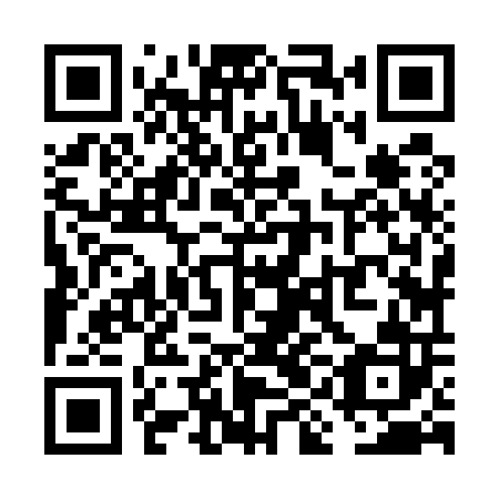 QR code for VIJ 502