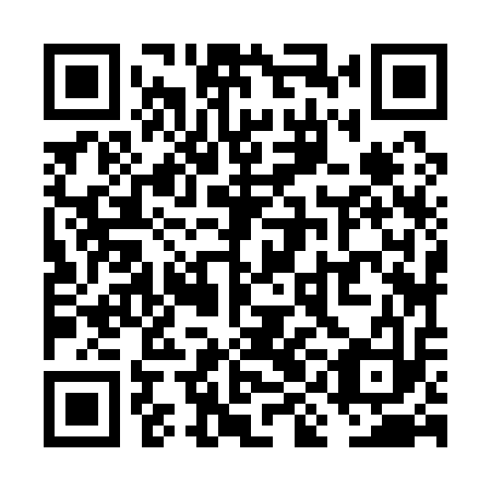 QR code for VIJ113