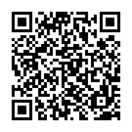 QR code for VIL 596