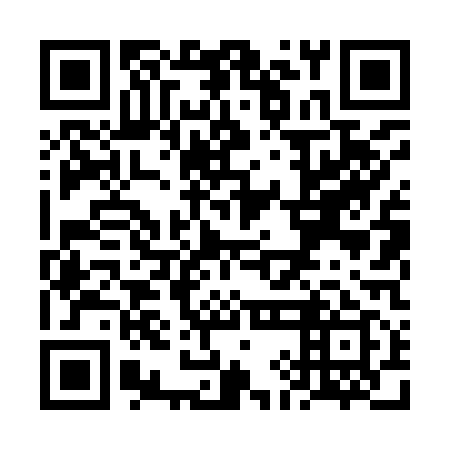 QR code for VIL 919