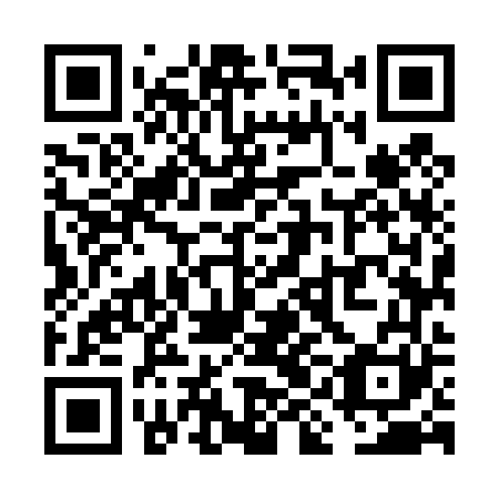 QR code for VIM 461