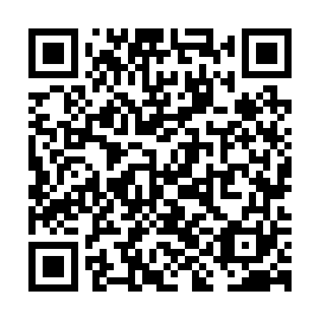 QR code for VIN261
