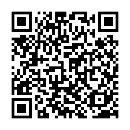 QR code for VIS 221