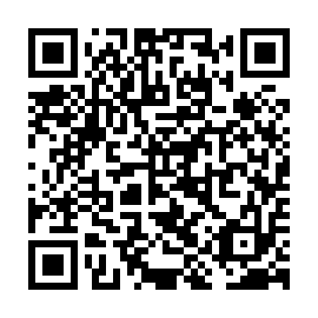 QR code for VIS 813