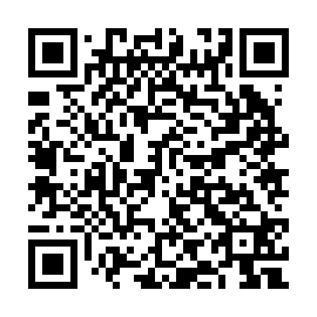QR code for VIZ 220