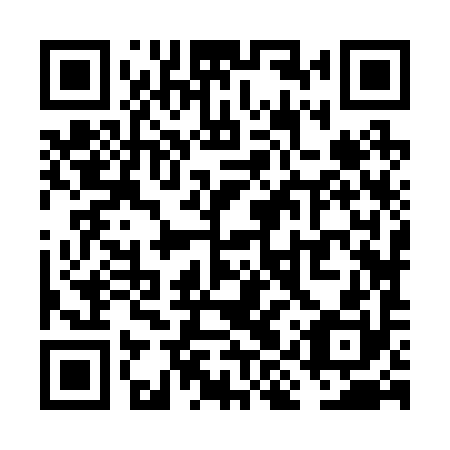 QR code for VIZ 290