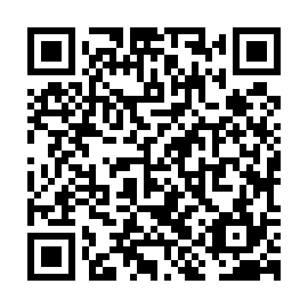 QR code for VIZ 534